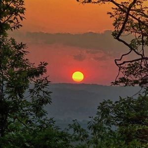 Meet your Posher, Estrella